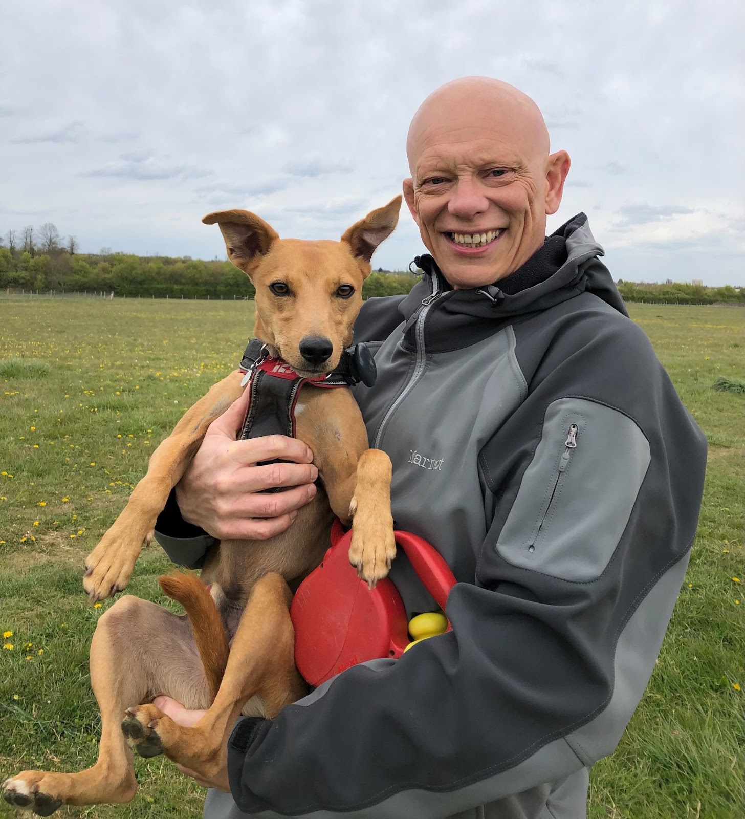RSPCA rescue dog becomes flyball champion - Essex Magazine