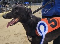 The Last Stand: A History of Romford Greyhound Stadium (1929 to Present)